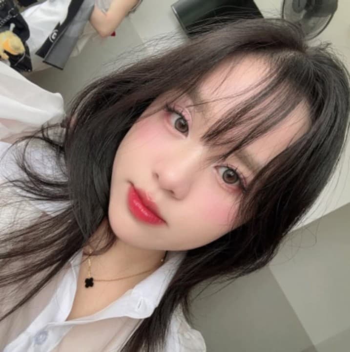 会員No.3533