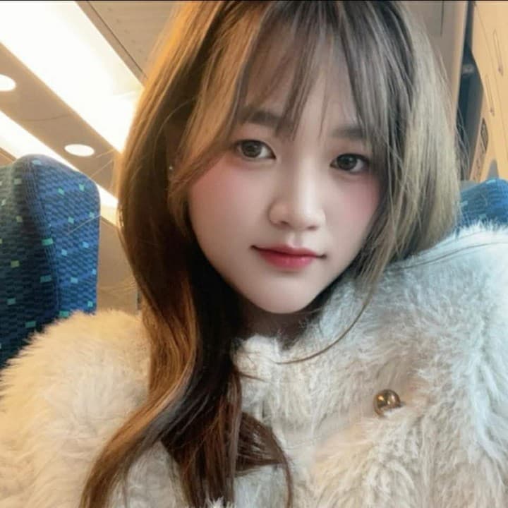 会員No.3377